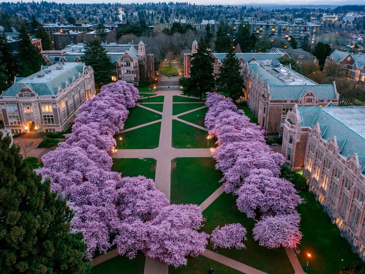 University of Washington at dusk, Seattle