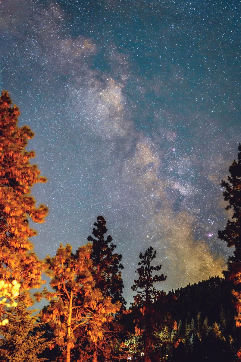 Night sky and autumn trees, Leavenworth, Washington